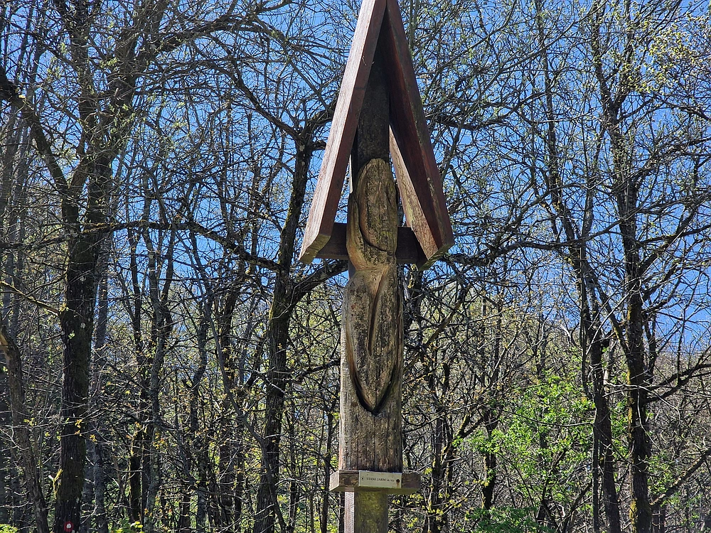 Slika je vidna v Google Chromu.