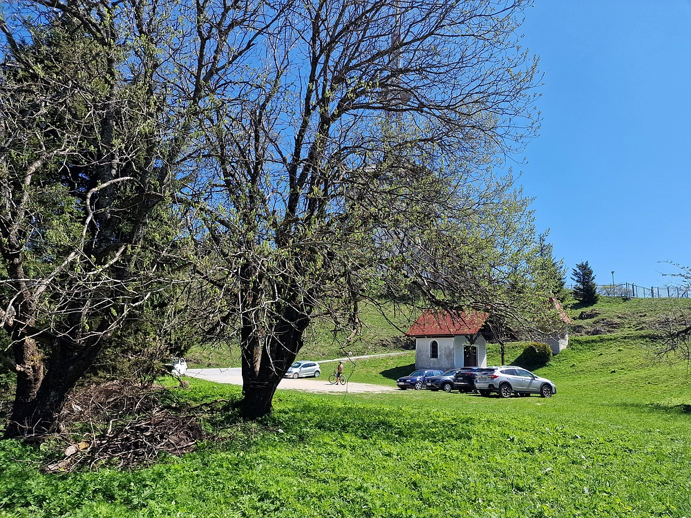 Slika je vidna v Google Chromu.