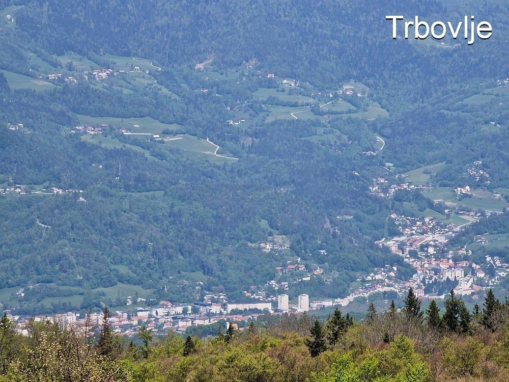 Slika je vidna v Google Chromu.