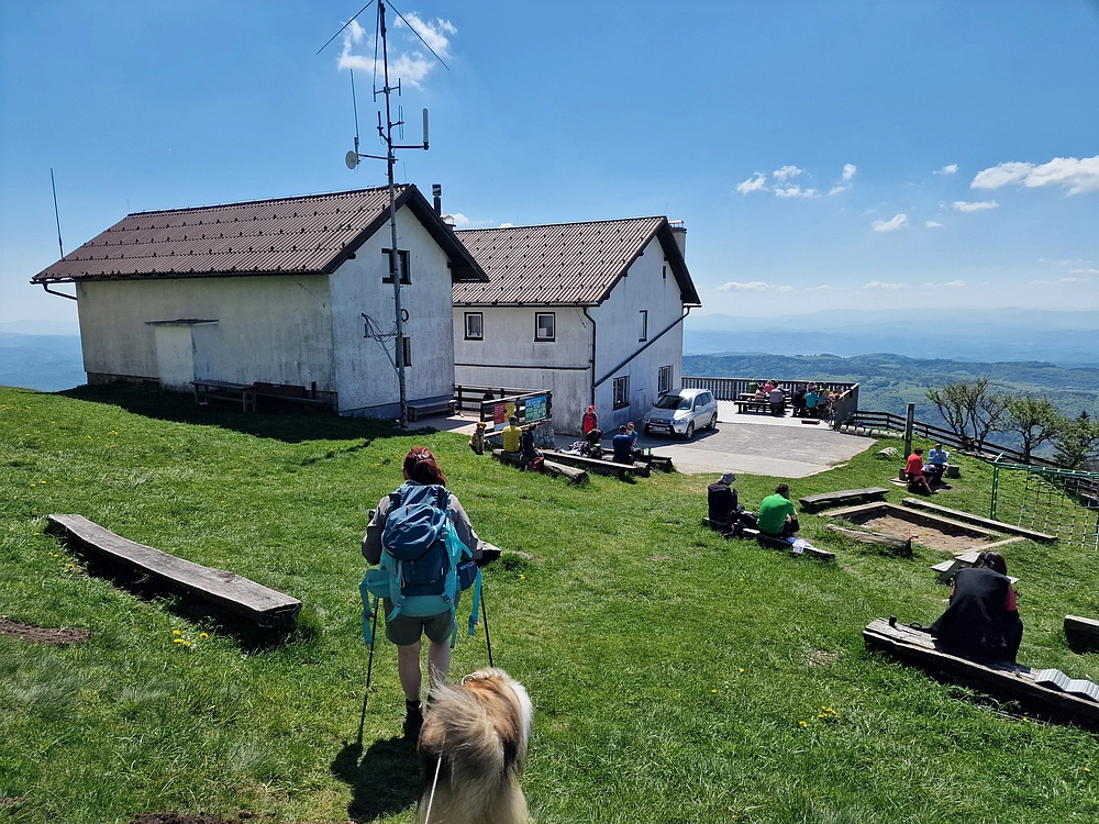 Slika je vidna v Google Chromu.