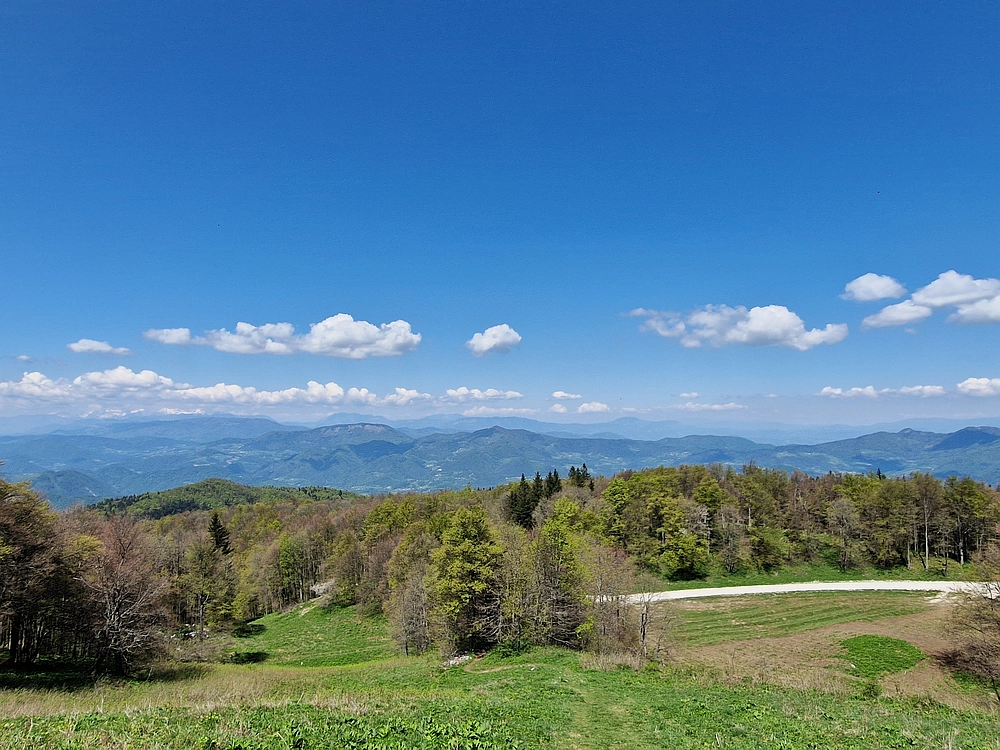 Slika je vidna v Google Chromu.