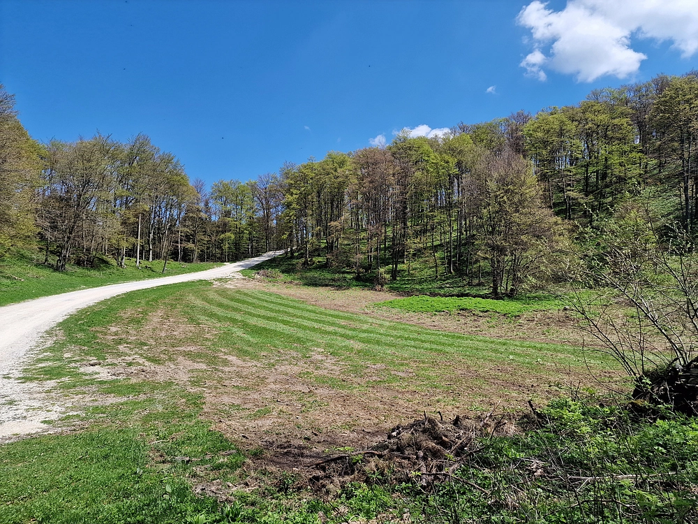 Slika je vidna v Google Chromu.