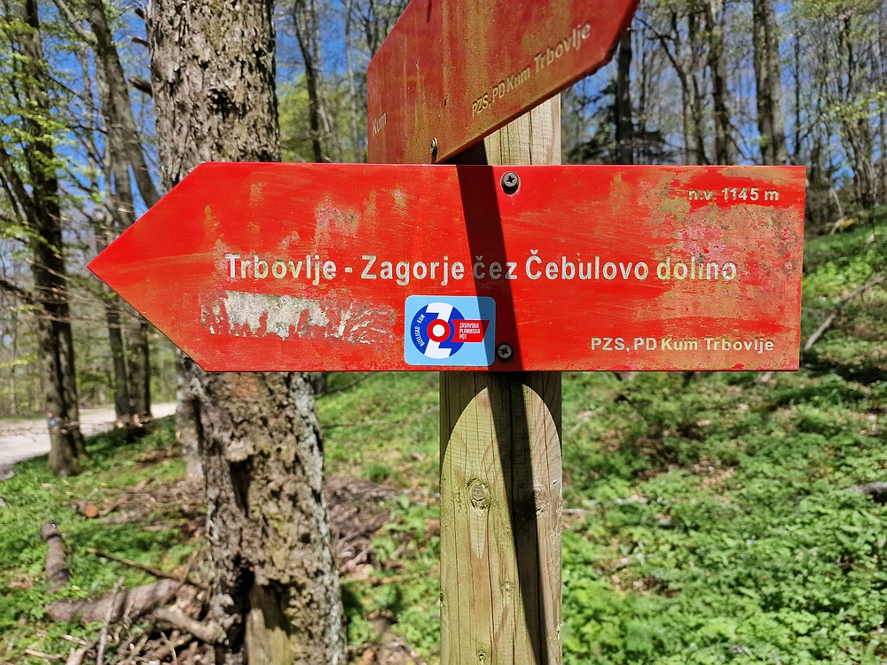 Slika je vidna v Google Chromu.