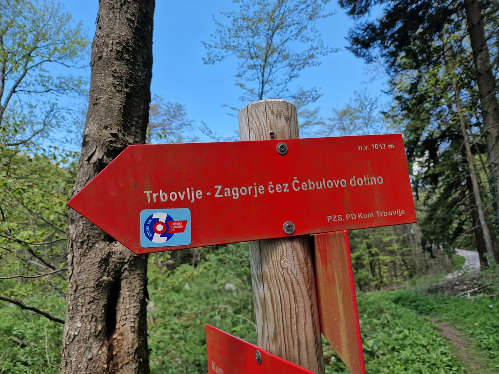 Slika je vidna v Google Chromu.