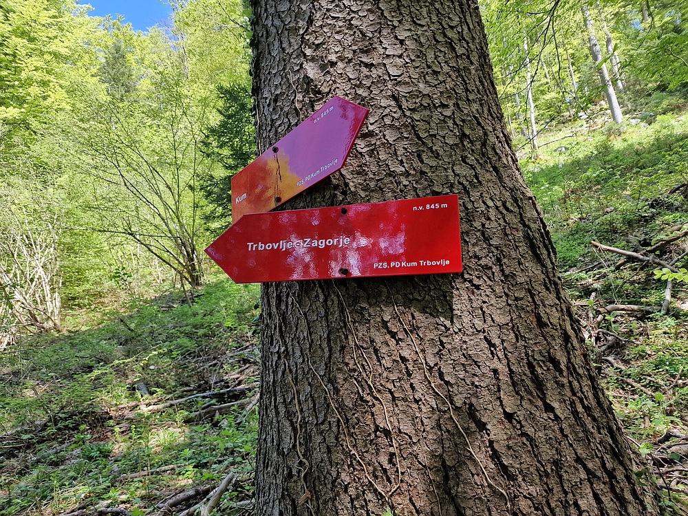 Slika je vidna v Google Chromu.