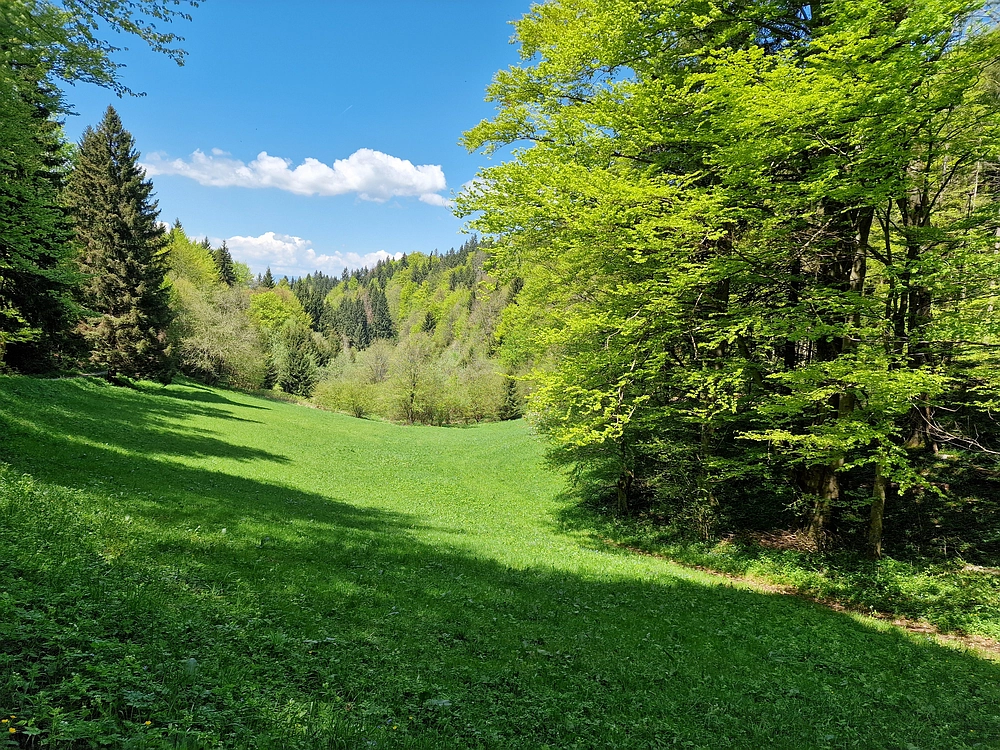 Slika je vidna v Google Chromu.