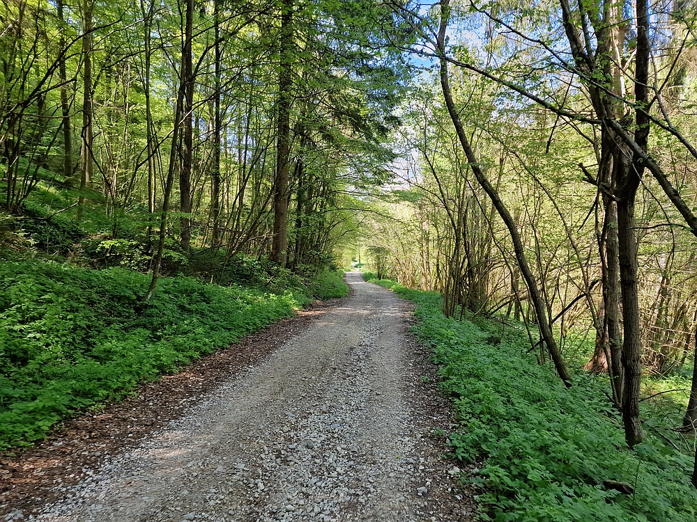 Slika je vidna v Google Chromu.