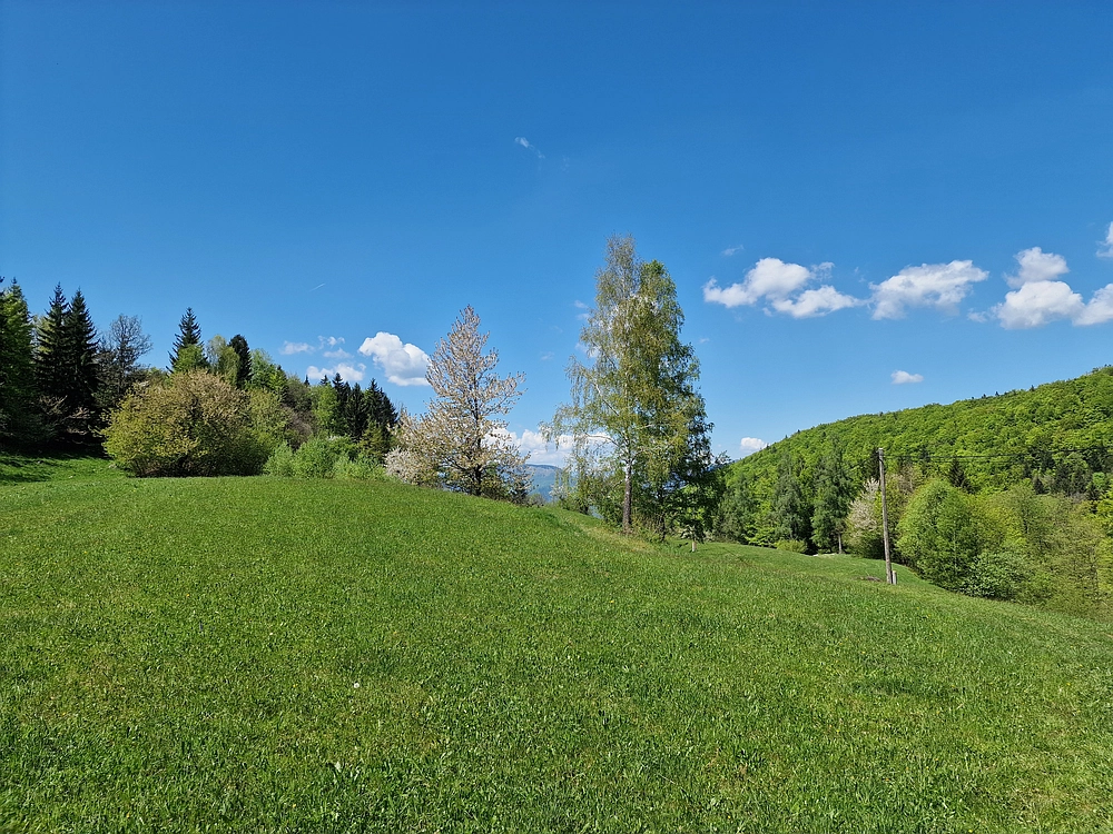 Slika je vidna v Google Chromu.