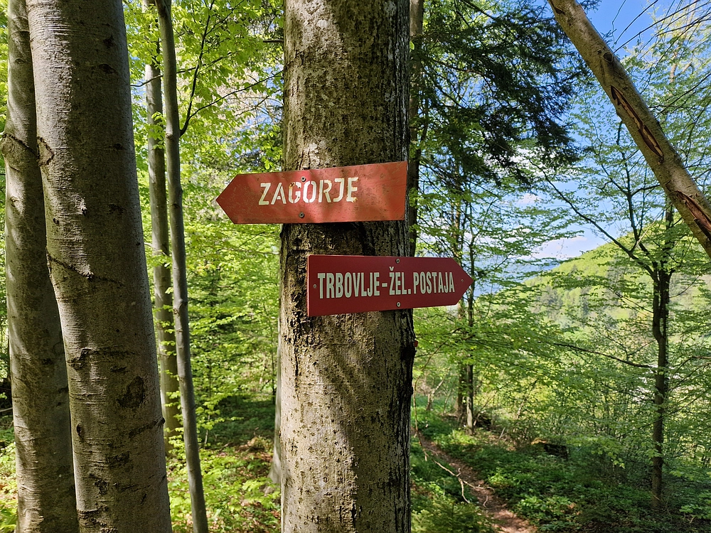 Slika je vidna v Google Chromu.