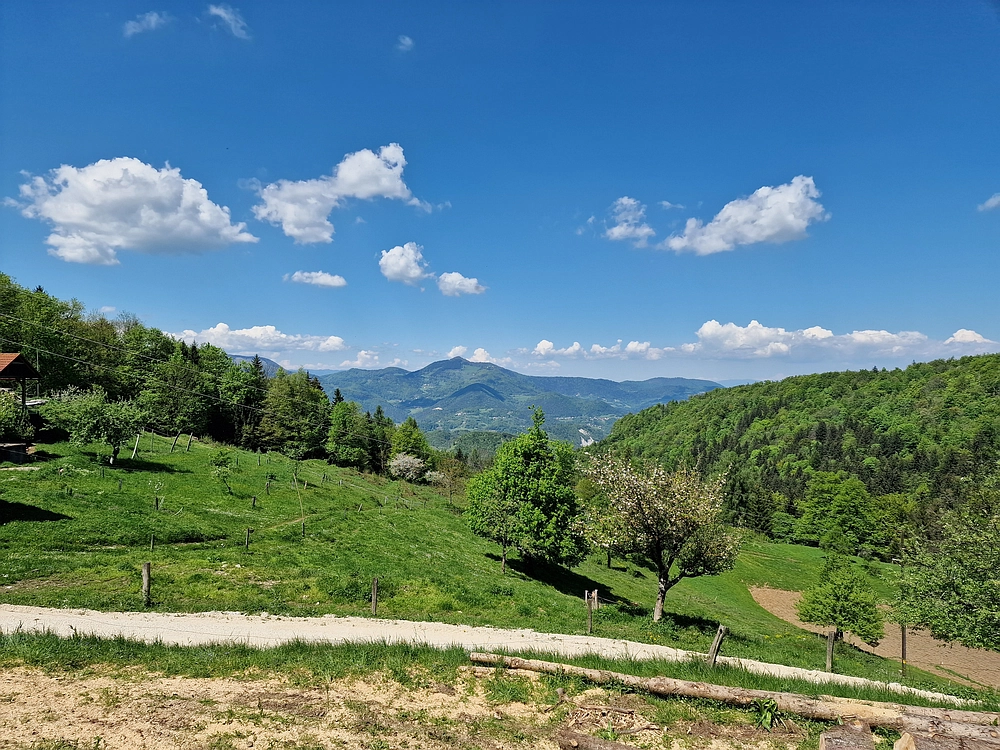 Slika je vidna v Google Chromu.