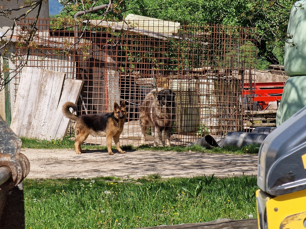 Slika je vidna v Google Chromu.