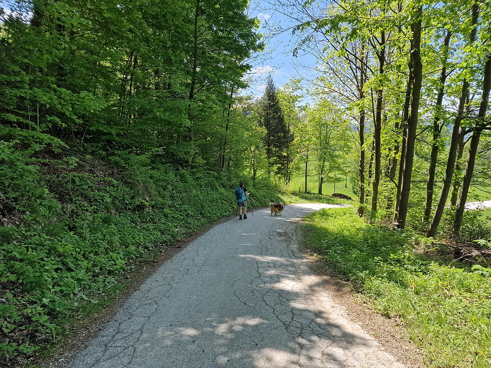 Slika je vidna v Google Chromu.