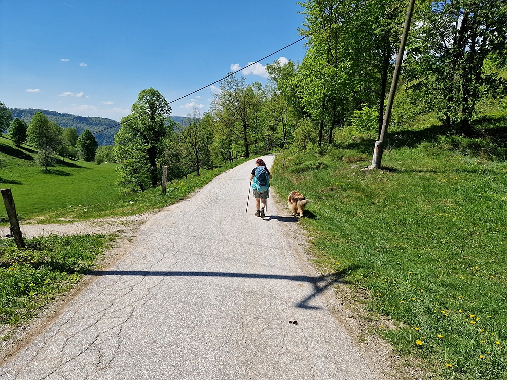 Slika je vidna v Google Chromu.