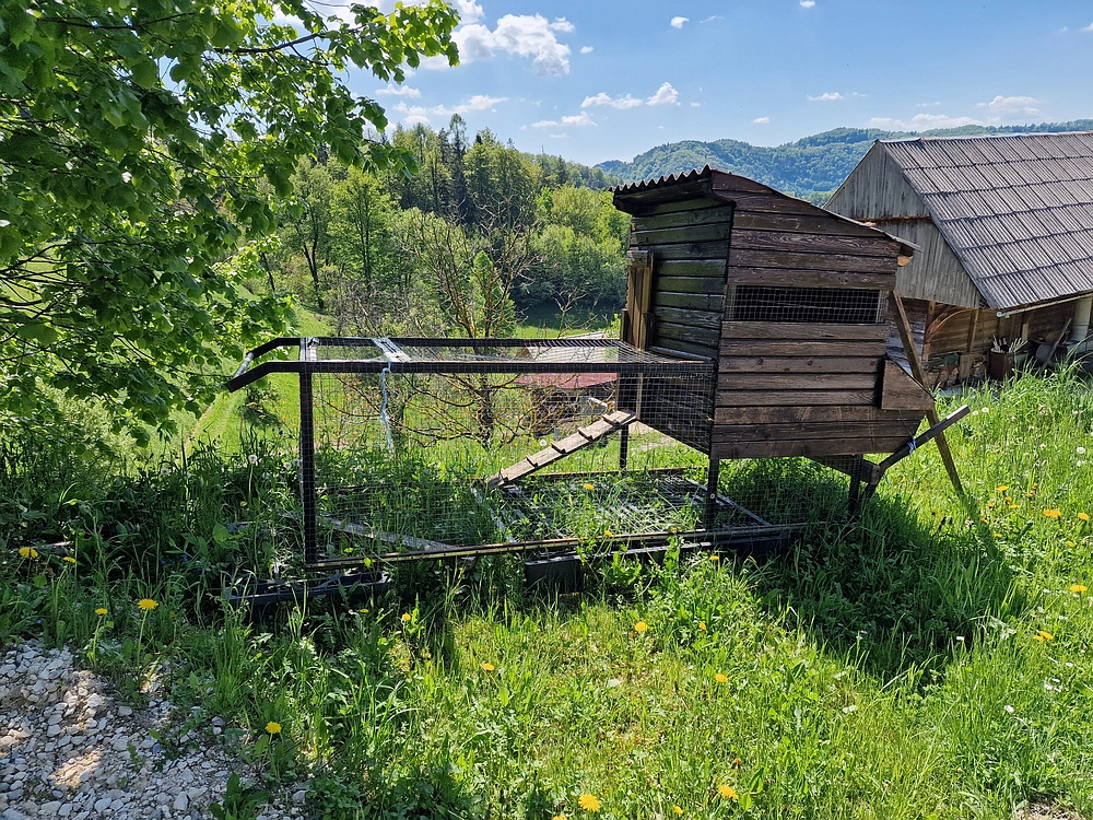 Slika je vidna v Google Chromu.