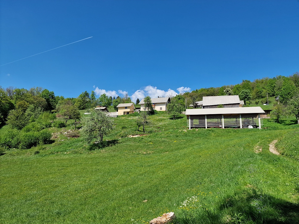 Slika je vidna v Google Chromu.