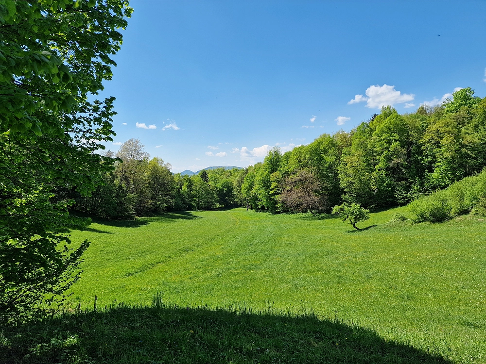Slika je vidna v Google Chromu.