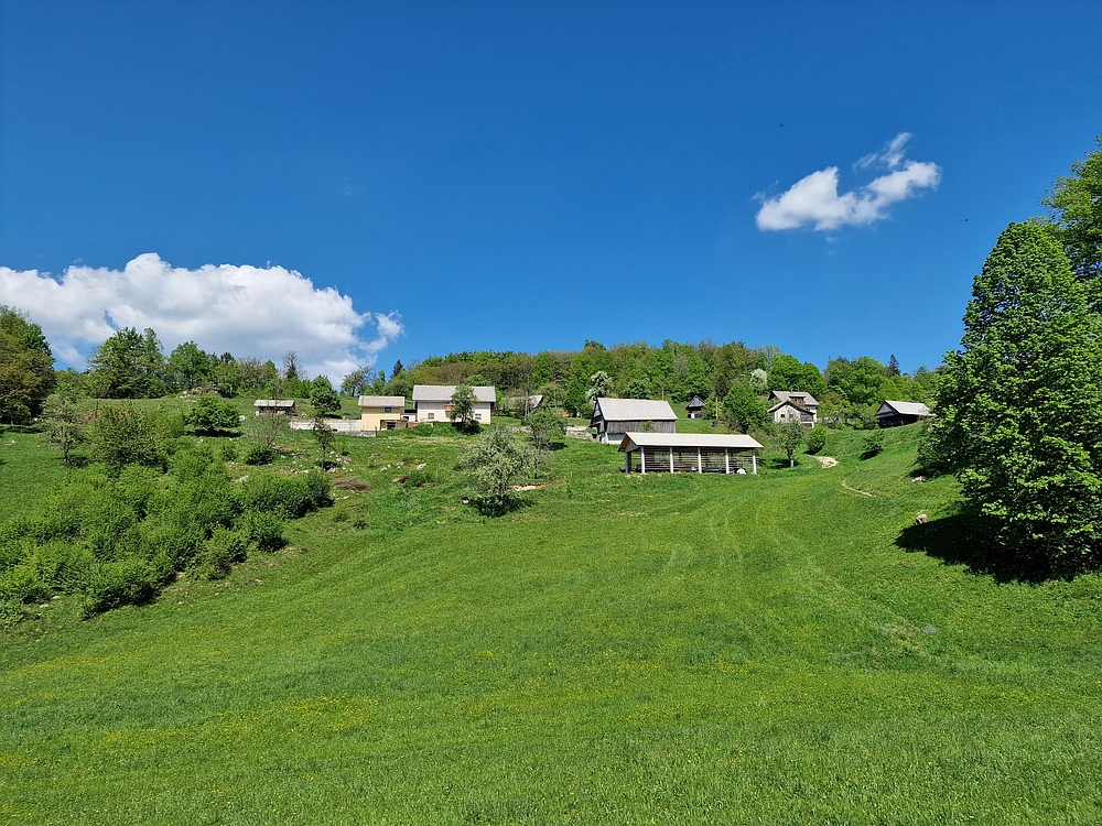 Slika je vidna v Google Chromu.