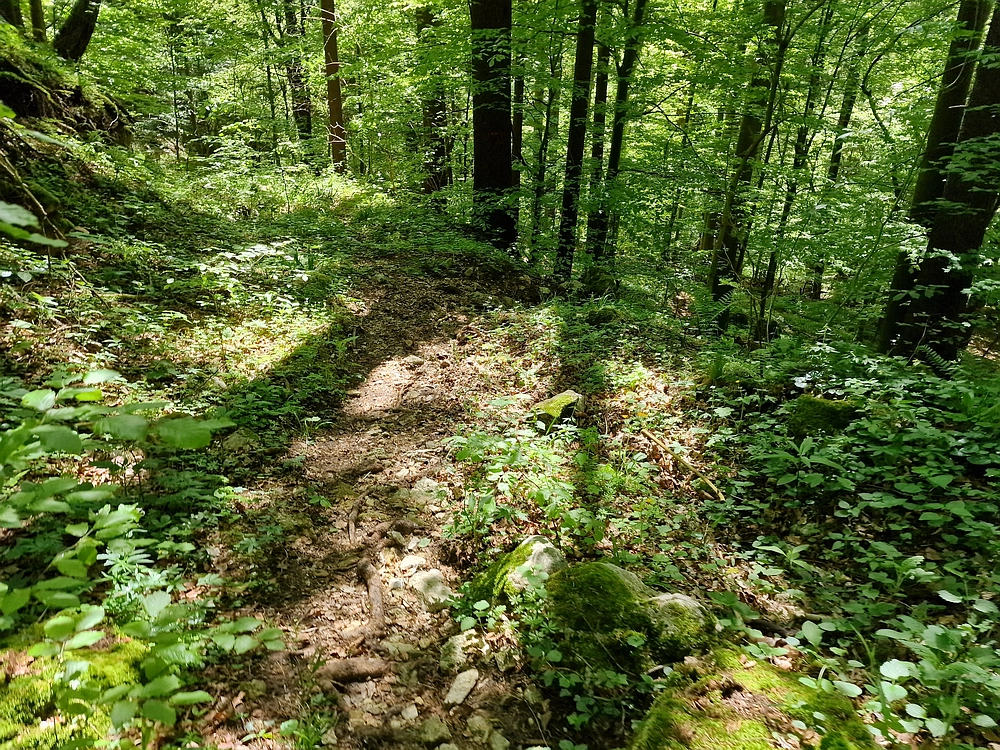 Slika je vidna v Google Chromu.