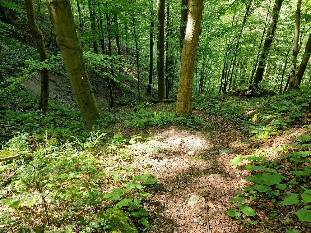 Slika je vidna v Google Chromu.