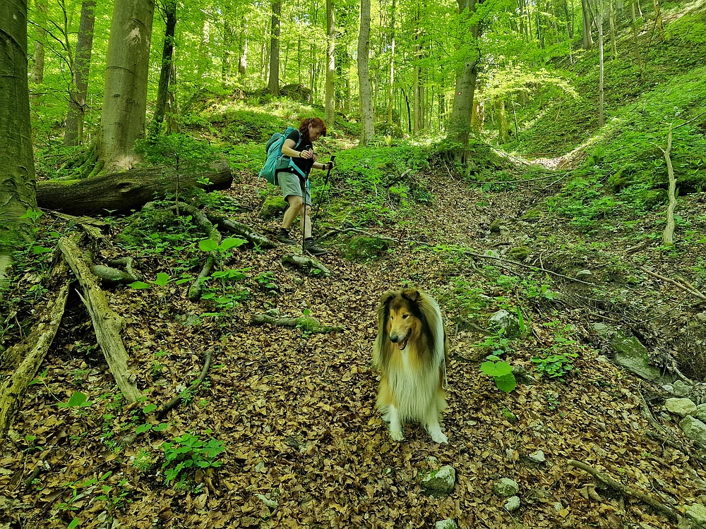 Slika je vidna v Google Chromu.