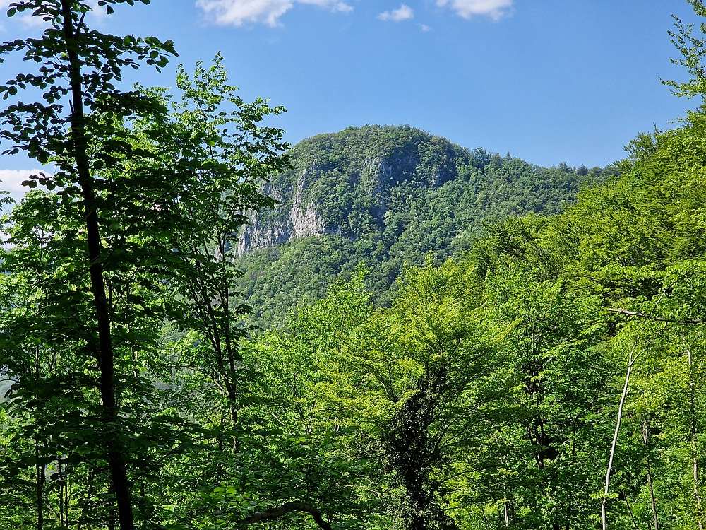 Slika je vidna v Google Chromu.