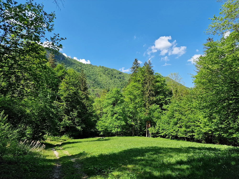 Slika je vidna v Google Chromu.