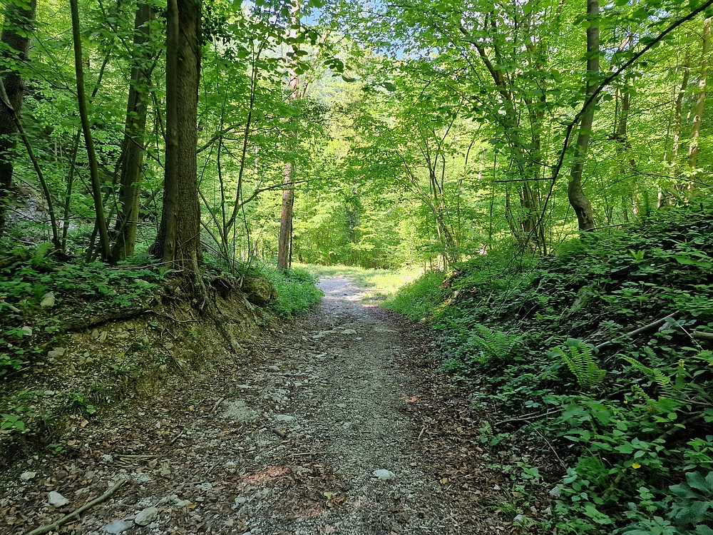 Slika je vidna v Google Chromu.