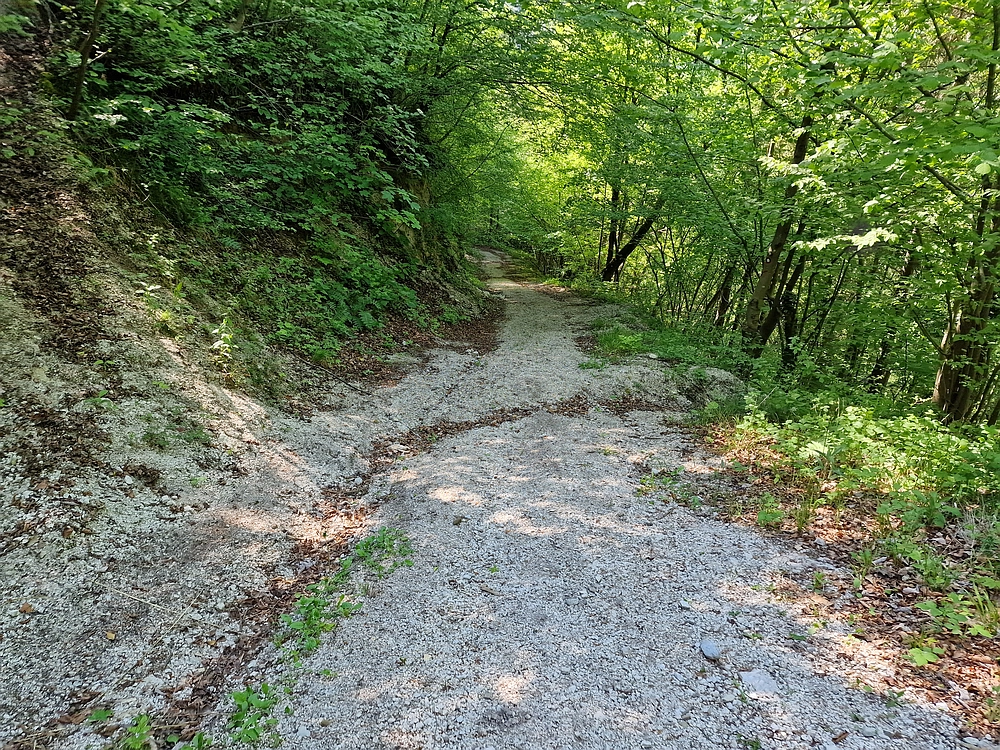 Slika je vidna v Google Chromu.