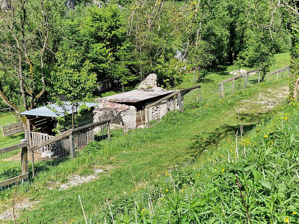 Slika je vidna v Google Chromu.