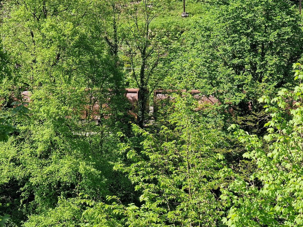 Slika je vidna v Google Chromu.