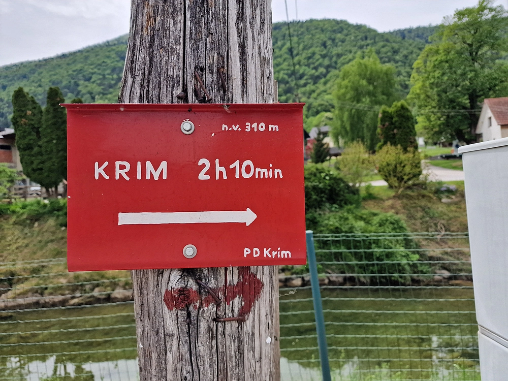 Slika je vidna v Google Chromu.