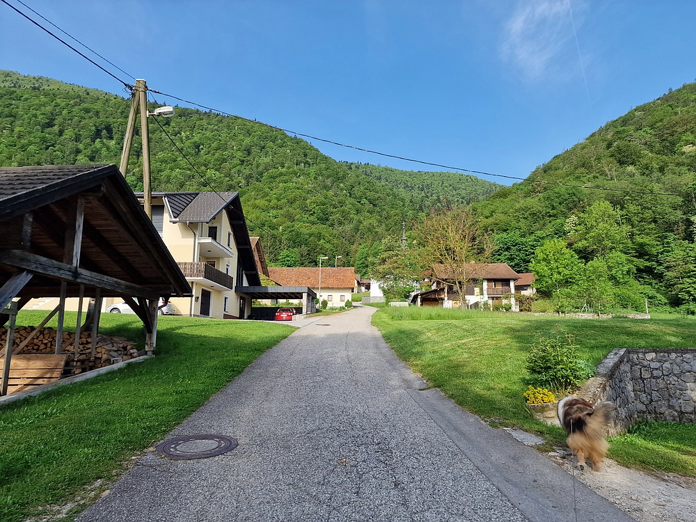 Slika je vidna v Google Chromu.