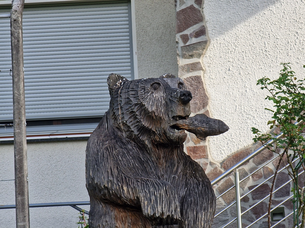 Slika je vidna v Google Chromu.