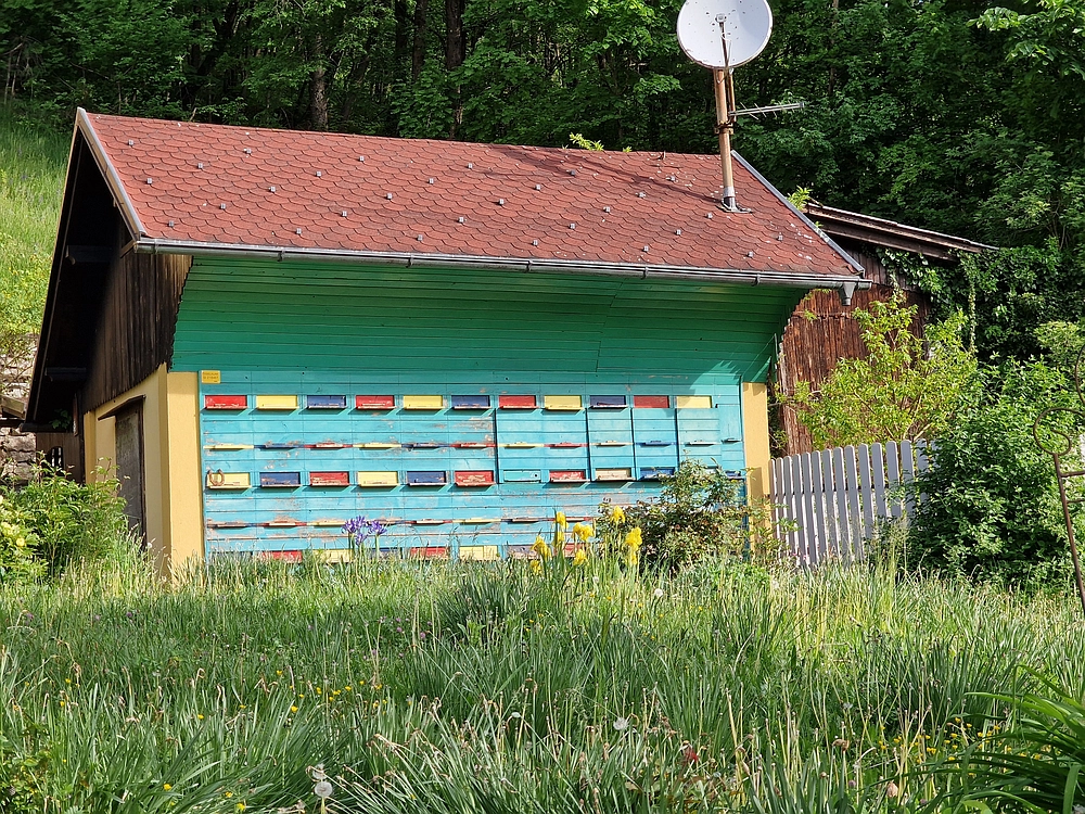 Slika je vidna v Google Chromu.