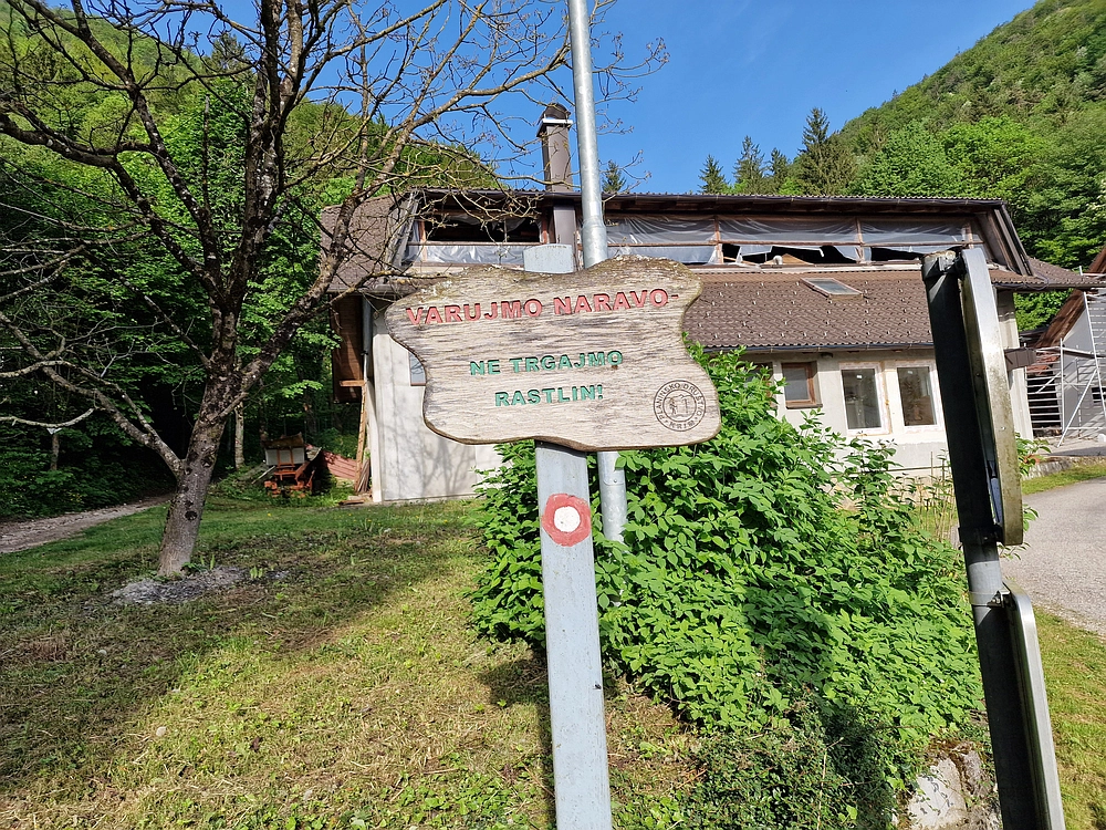 Slika je vidna v Google Chromu.