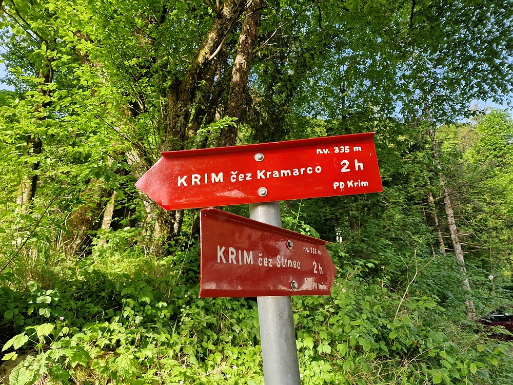 Slika je vidna v Google Chromu.