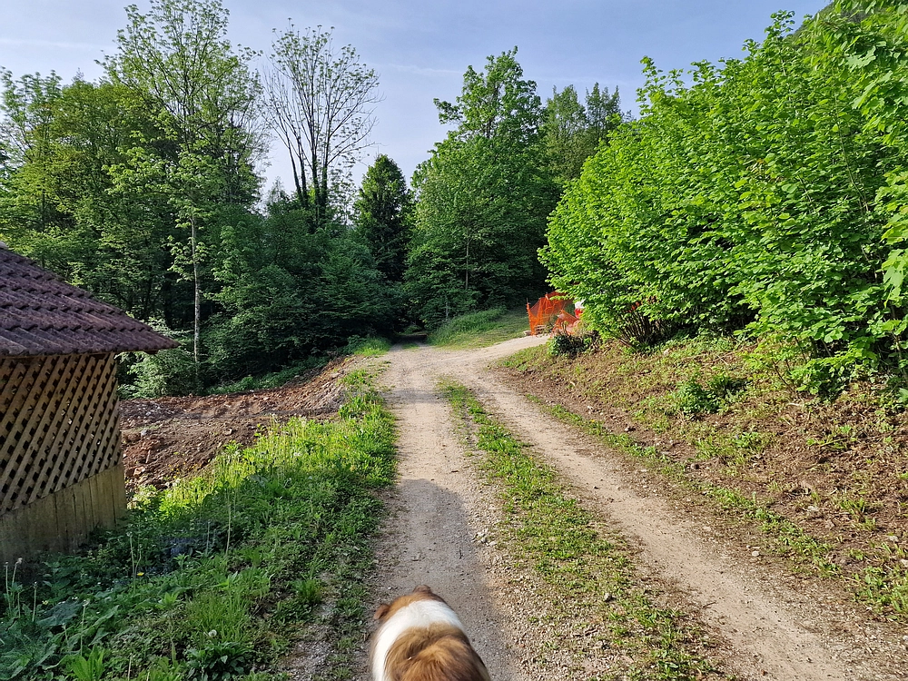 Slika je vidna v Google Chromu.