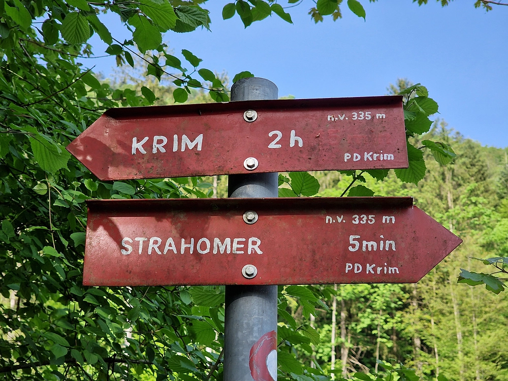 Slika je vidna v Google Chromu.