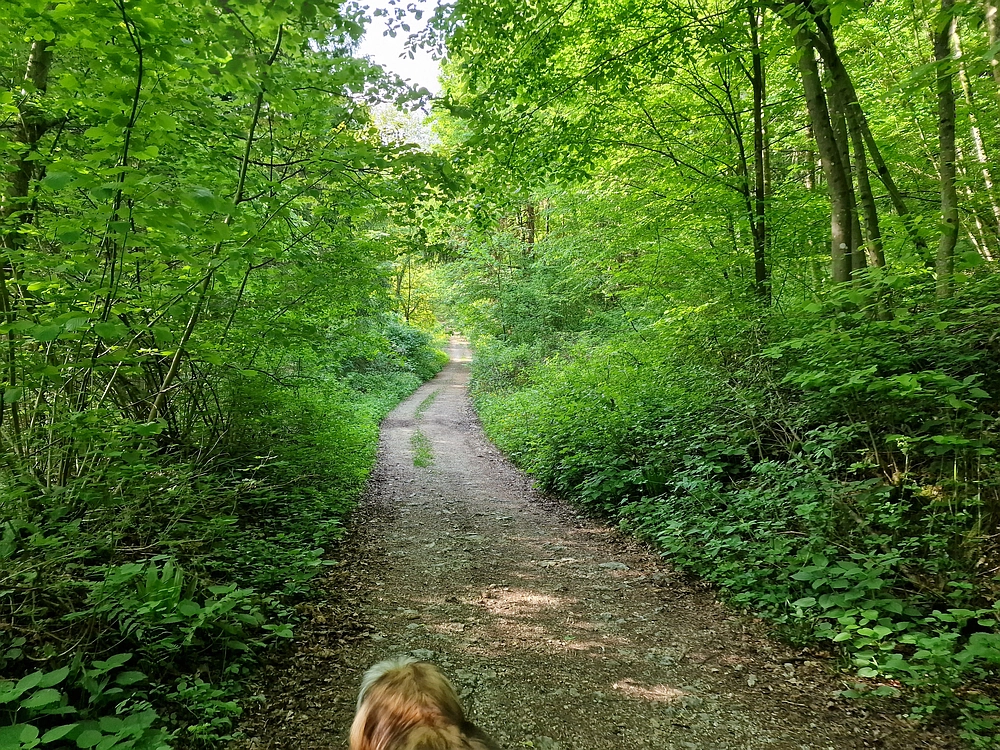 Slika je vidna v Google Chromu.