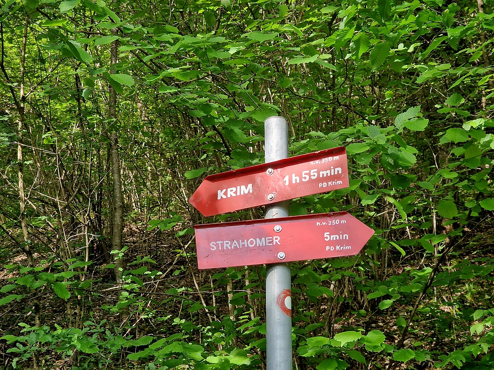 Slika je vidna v Google Chromu.