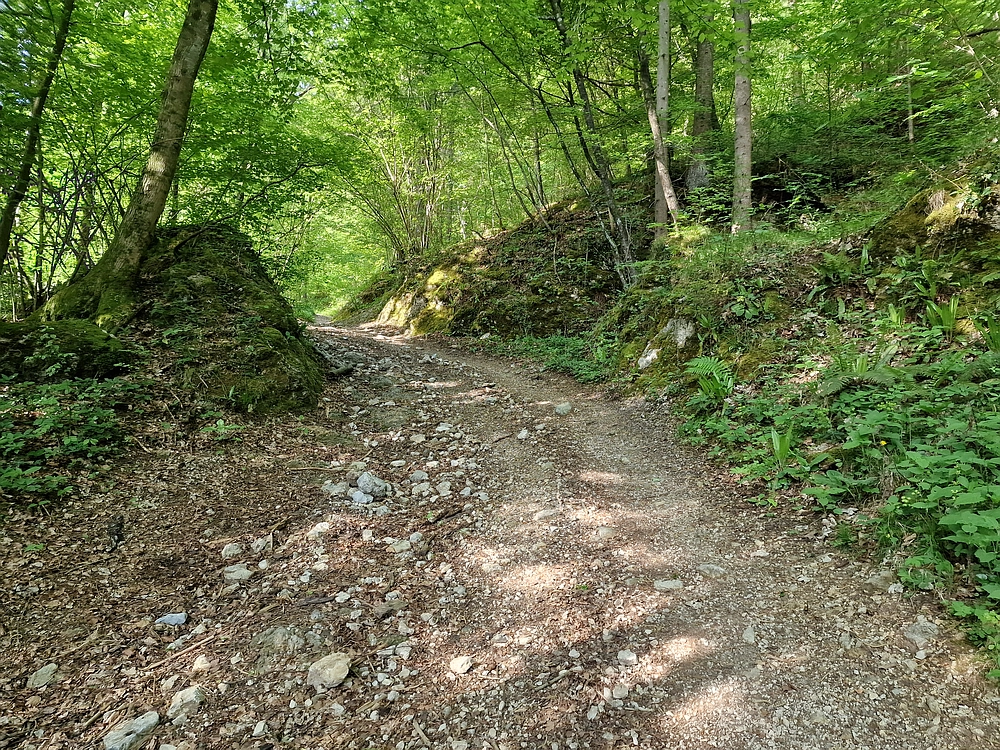 Slika je vidna v Google Chromu.