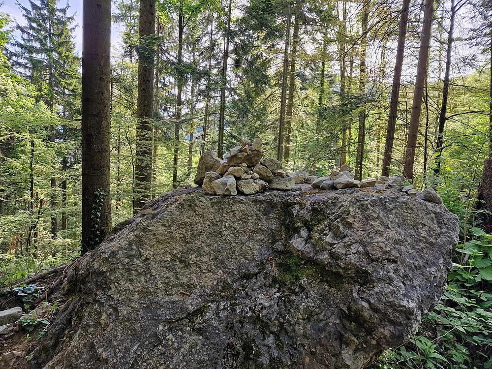 Slika je vidna v Google Chromu.