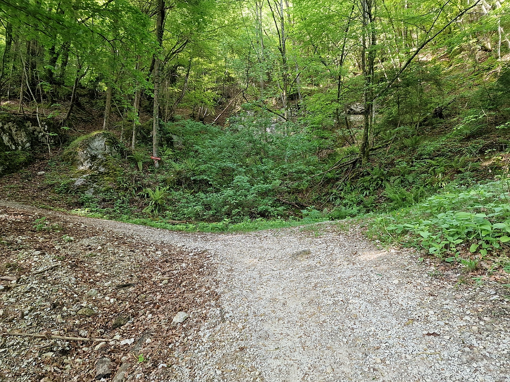 Slika je vidna v Google Chromu.