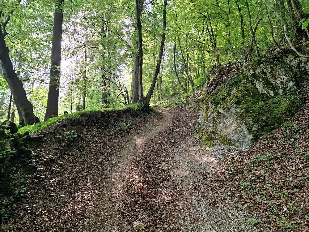 Slika je vidna v Google Chromu.