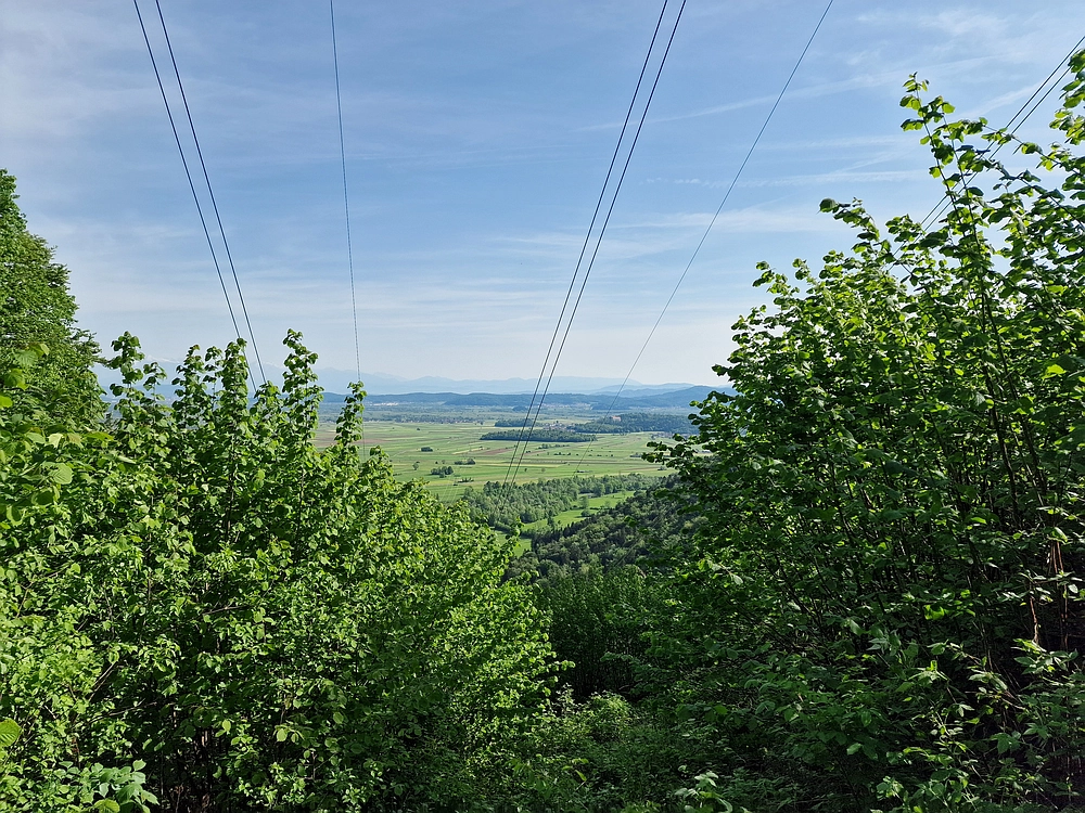 Slika je vidna v Google Chromu.
