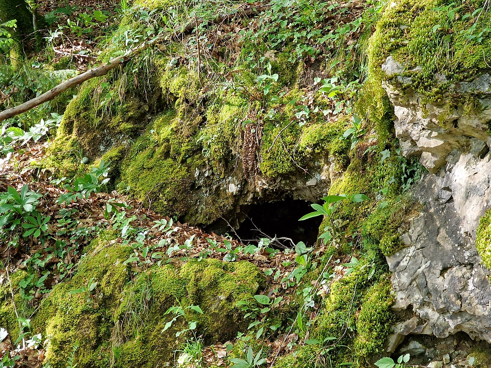 Slika je vidna v Google Chromu.