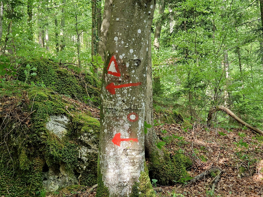 Slika je vidna v Google Chromu.