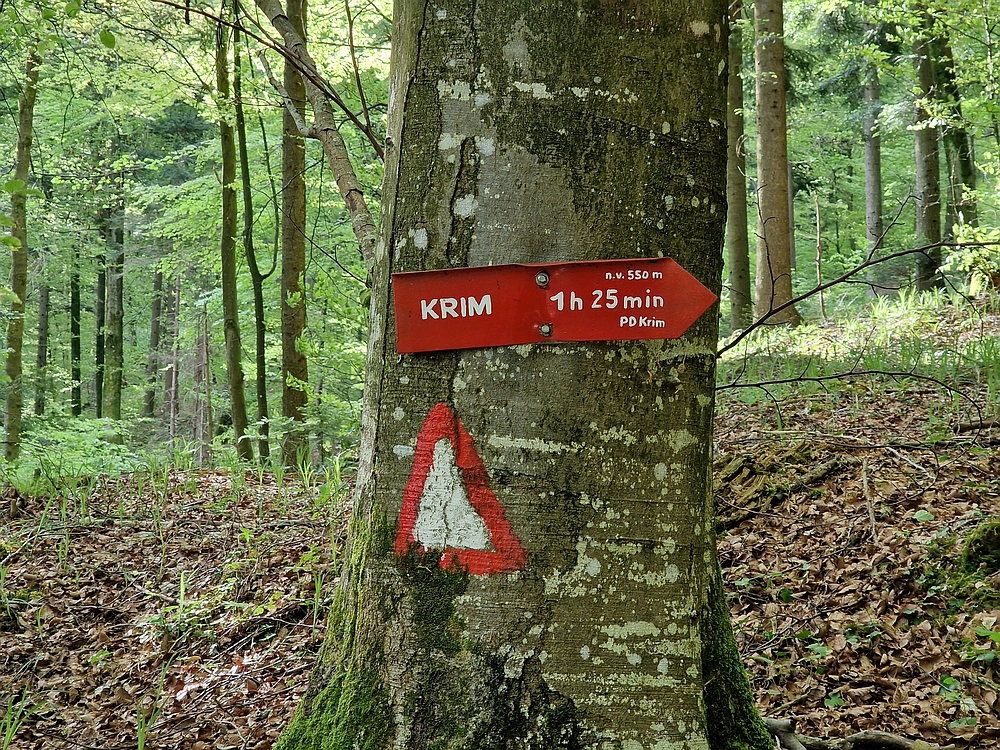 Slika je vidna v Google Chromu.