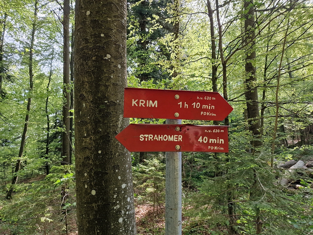 Slika je vidna v Google Chromu.