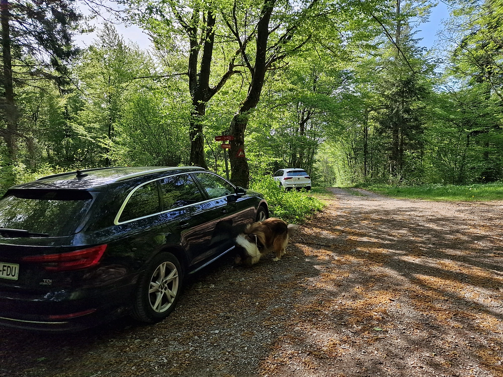 Slika je vidna v Google Chromu.